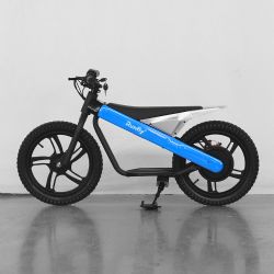 NEW 16inch balance bikeET-01 double seat blue